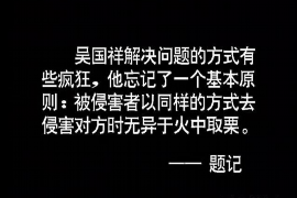 京山为什么选择专业追讨公司来处理您的债务纠纷？